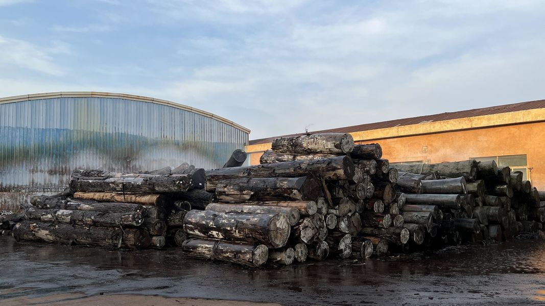 Dongguan Lingfeng Wood Industry Co., Ltd. สายการผลิตของผู้ผลิต